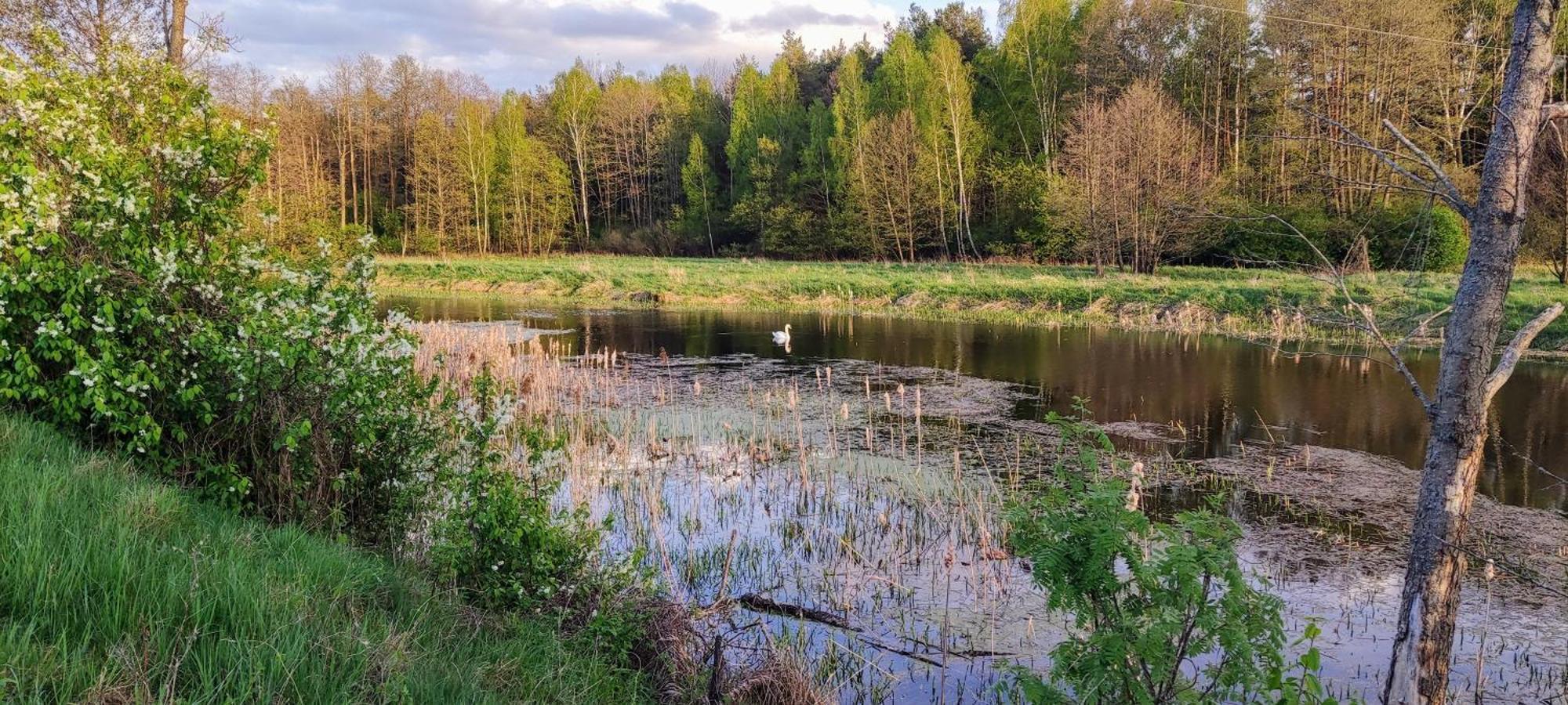 Panorama Podlasie Home&spa Villa *